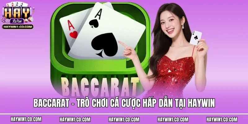 Baccarat - Trò Chơi Cá Cược Hấp Dẫn Tại Haywin
