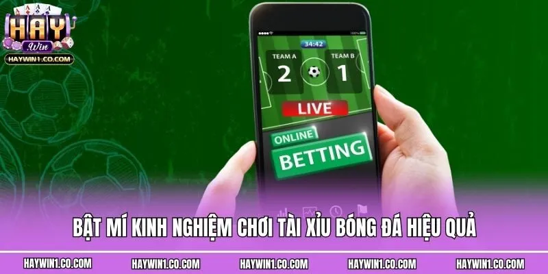 Bật mí kinh nghiệm chơi tài xỉu bóng đá hiệu quả