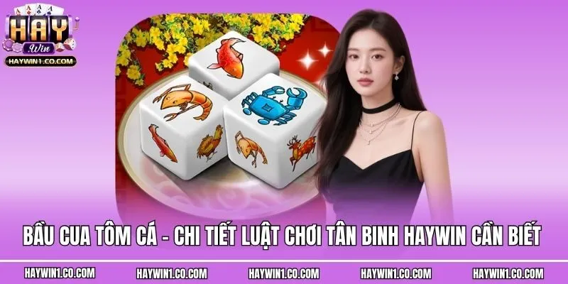 Bầu Cua Tôm Cá - Chi Tiết Luật Chơi Tân Binh Haywin Cần Biết 