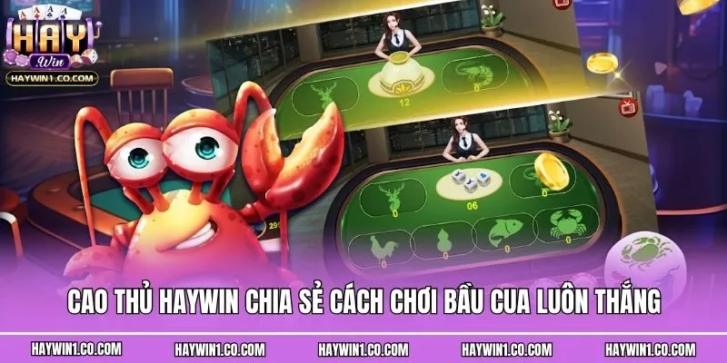 Cao thủ Haywin chia sẻ cách chơi bầu cua luôn thắng