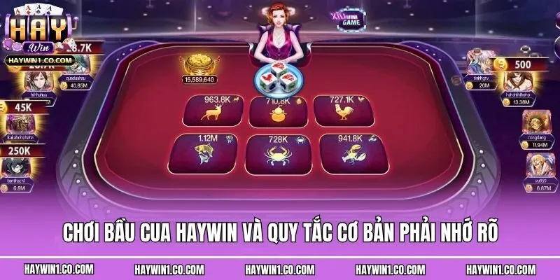 Chơi bầu cua Haywin và quy tắc cơ bản phải nhớ rõ