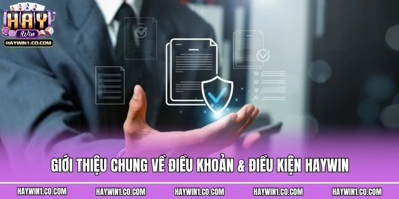 Giới thiệu chung về điều khoản & điều kiện Haywin