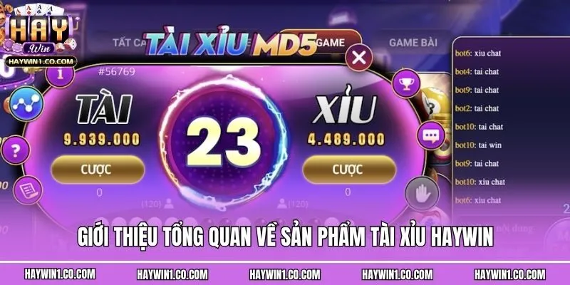 Giới thiệu tổng quan về sản phẩm tài xỉu Haywin