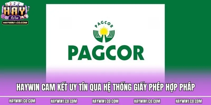 Haywin cam kết uy tín qua hệ thống giấy phép hợp pháp
