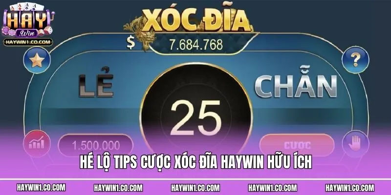 Hé lộ tips cược xóc đĩa Haywin hữu ích