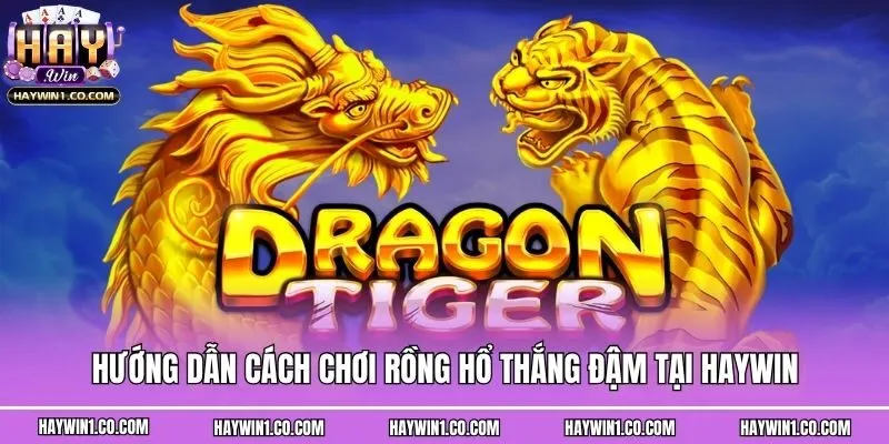Hướng Dẫn Cách Chơi Rồng Hổ Thắng Đậm Tại Haywin