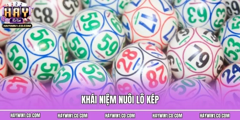 Khái niệm nuôi lô kép