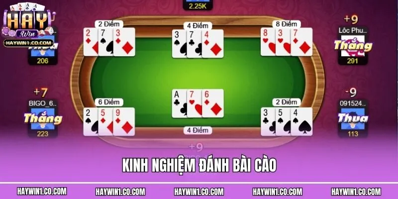 Kinh nghiệm đánh bài cào