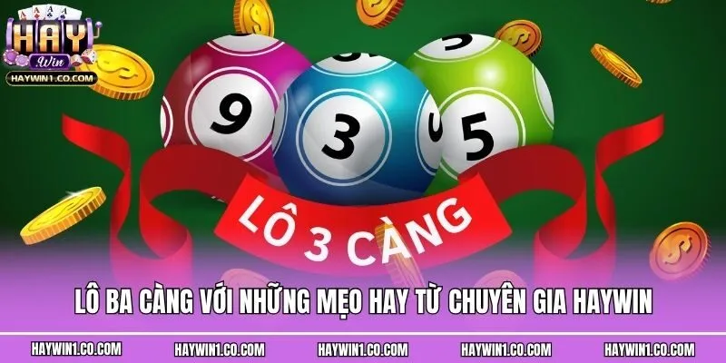 Lô Ba Càng Với Những Mẹo Hay Từ Chuyên Gia Haywin