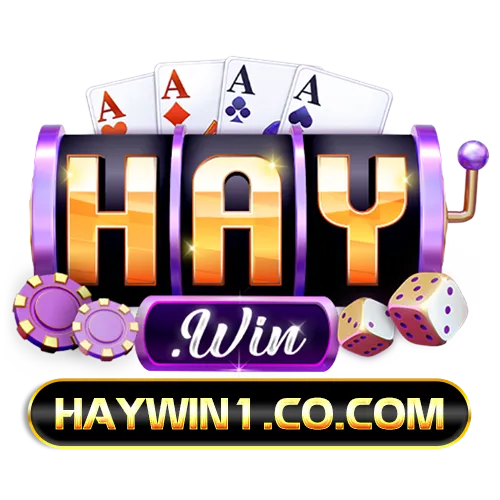 haywin1.co.com
