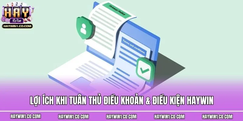 Lợi ích khi tuân thủ điều khoản & điều kiện Haywin