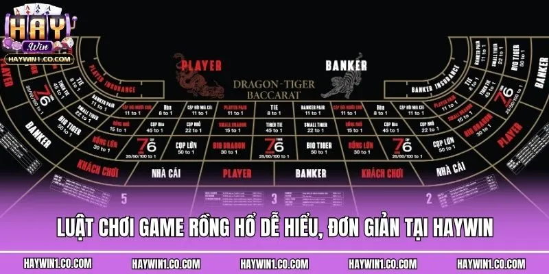 Luật chơi game Rồng hổ dễ hiểu, đơn giản tại Haywin