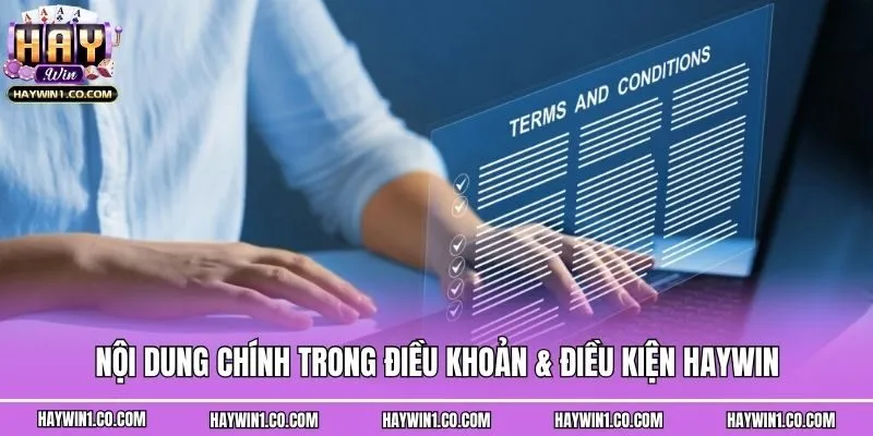 Nội dung chính trong điều khoản & điều kiện Haywin