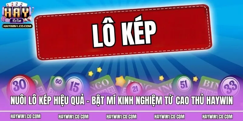 Nuôi Lô Kép Hiệu Quả - Bật Mí Kinh Nghiệm Từ Cao Thủ Haywin