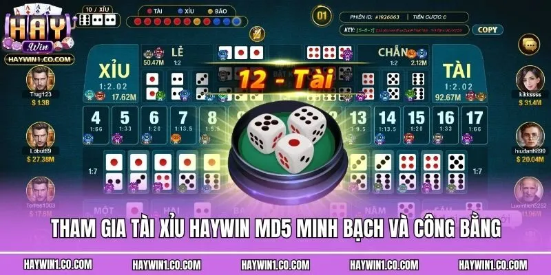 Tham gia tài xỉu Haywin MD5 minh bạch và công bằng