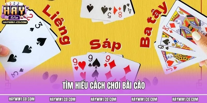 Tìm hiểu cách chơi bài cào