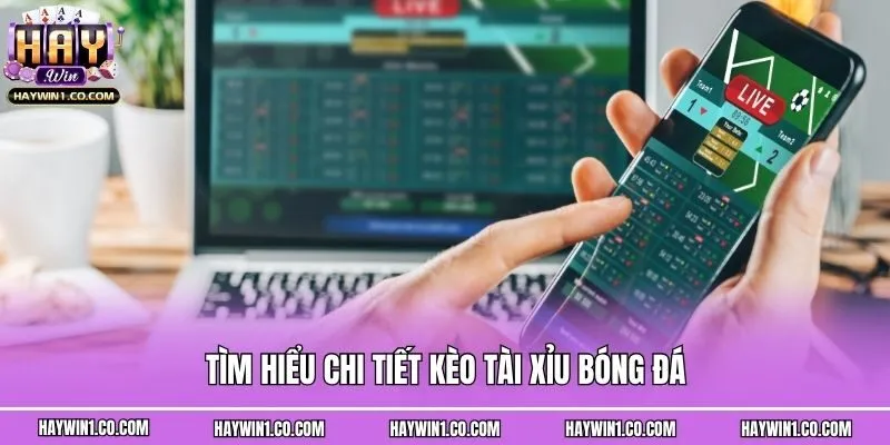 Tìm hiểu chi tiết kèo tài xỉu bóng đá
