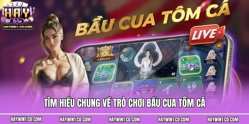 Tìm hiểu chung về trò chơi bầu cua tôm cá