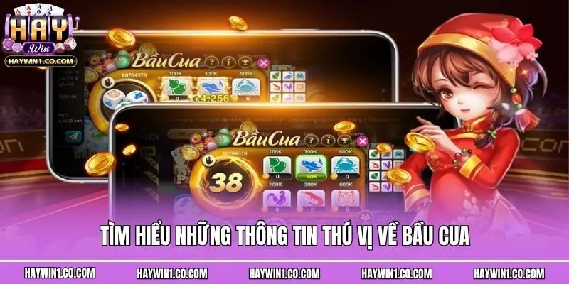 Tìm hiểu những thông tin thú vị về bầu cua