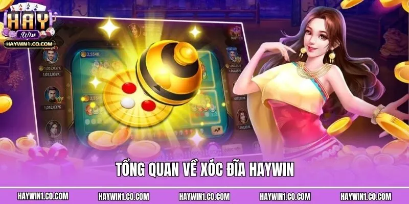 Tổng quan về xóc đĩa Haywin