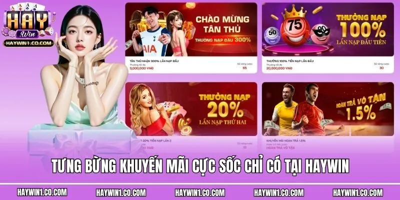 Tưng bừng khuyến mãi cực sốc chỉ có tại Haywin