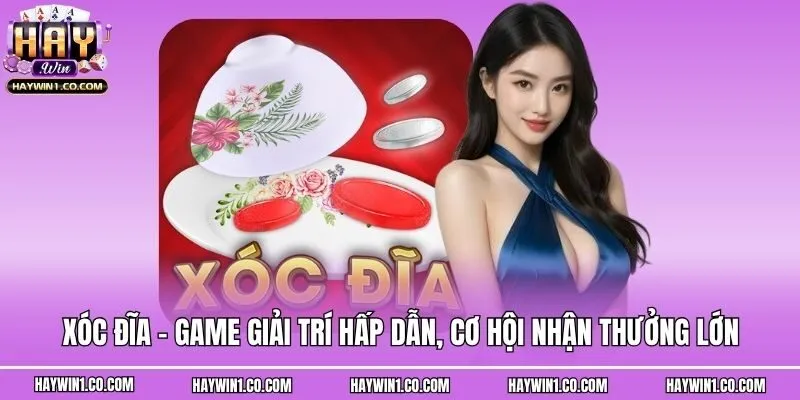 Xóc Đĩa - Game Giải Trí Hấp Dẫn, Cơ Hội Nhận Thưởng Lớn